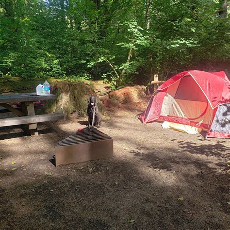 Jones Creek Camping | Tillamook, Oregon