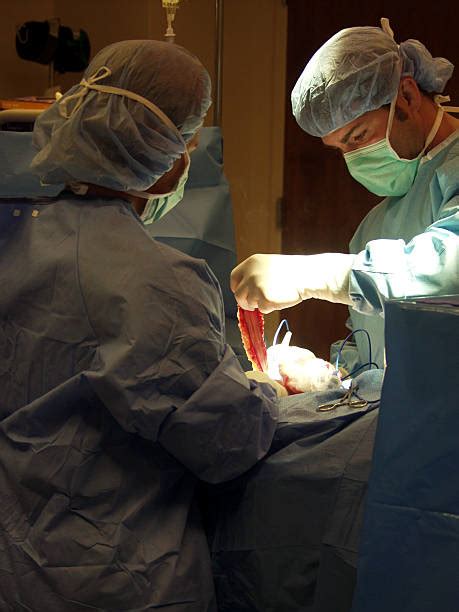 Cauterizing 的图像结果