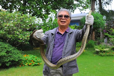 8年抓76條蛇 博士校長陳世雄抓蛇秘技大公開 - 生活 - 自由時報電子報