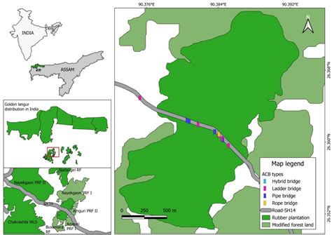Mitigating Linear Infrastructure: Artificial Canopy Bridges as a key ...