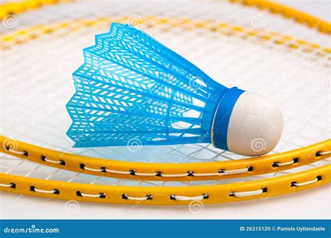 Badminton Racket and Shuttle 的图像结果