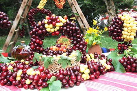 保加利亚樱桃节上的中保“水果合作”