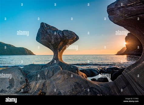 Image result for How to Insert Background Image in HTML in Visual Studio Using External CSS