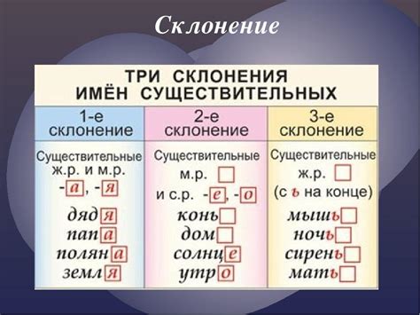 10 слов 1 2 3 склонения
