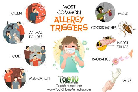 Best Info About How To Prevent Pollen Allergy - Dadboss
