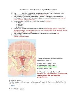 Crash Course Reproductive 的图像结果