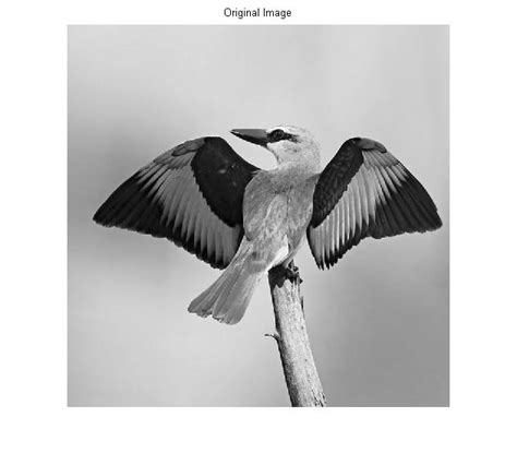 Bit Plane Slicing MATLAB 的图像结果