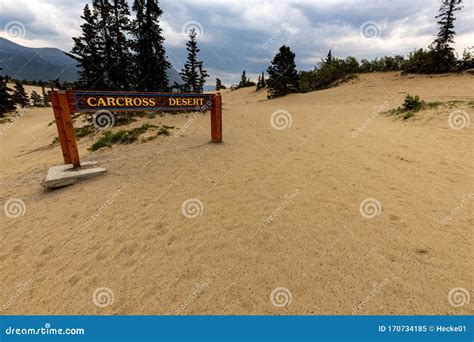 The Smallest Desert of the World at Carcross Stock Image - Image of canada, season: 170734185