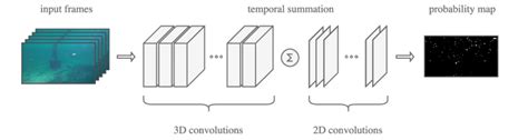 3D Convolutional Neural Network 的图像结果
