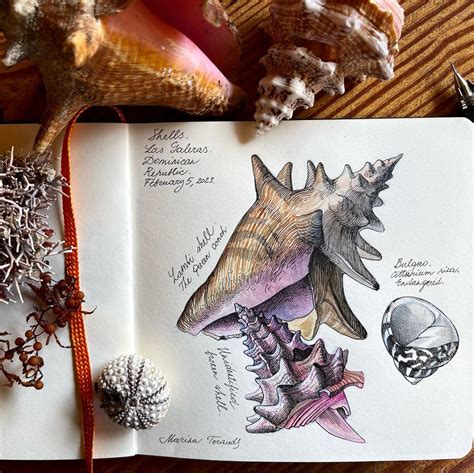 Image result for Shell Drawing Cover Work