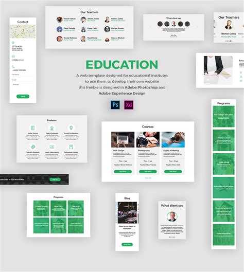 Adobe Xd Design System Template