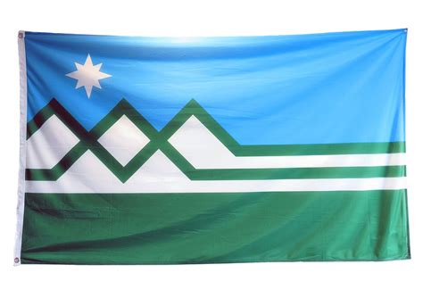 Washington State Flag Football at Norris Carrico blog