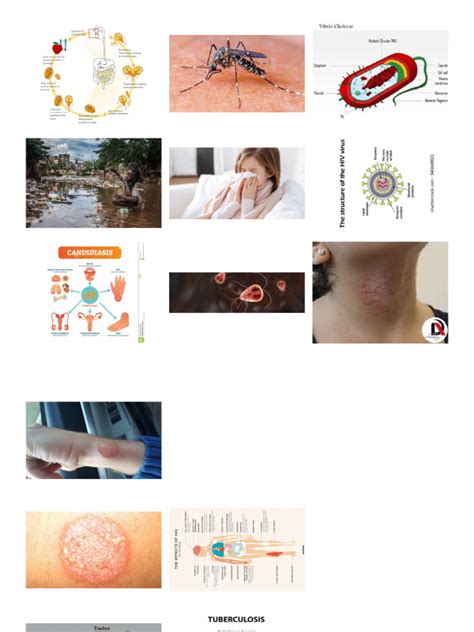 Image result for Microbotics Projects