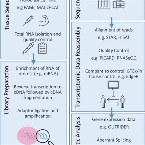 RNA Sequencing Method 的图像结果