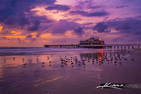 Daytona Beach Pier Wallpaper