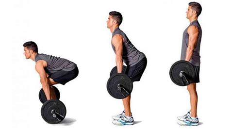 Barbell Romanian Deadlift at Donald Mccann blog