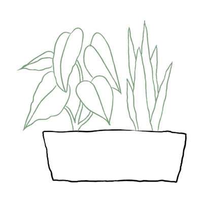 Arrangement of Plants: Order Flowers Online | Interflora India | ID1376932