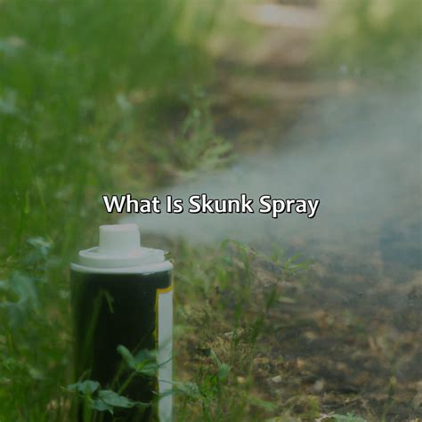 What Is Skunk Spray In Spanish at Gabriella Raiwala blog