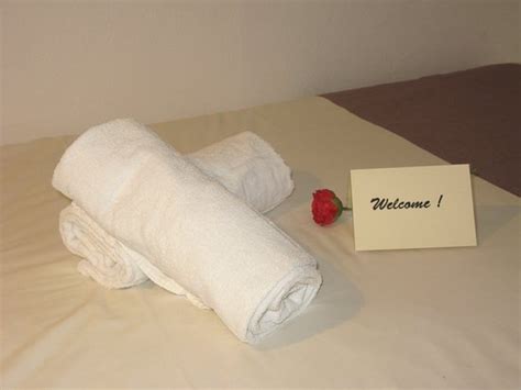 AU BERCEAU DE BERNADETTE (Lourdes) - B&B Reviews, Photos, Rate ...