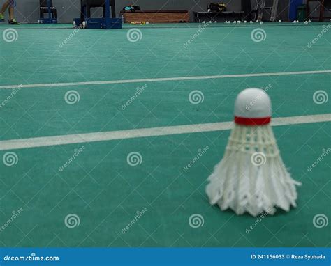 Badminton Racket and Shuttle 的图像结果
