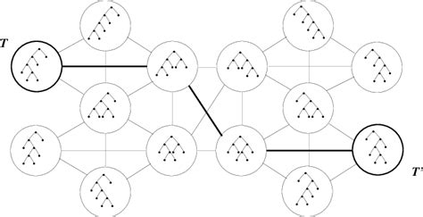 Image result for One Root 5 Tree