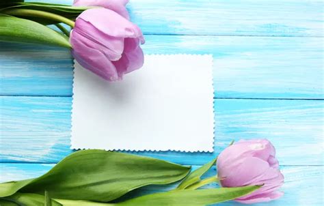 Wallpaper flowers, bouquet, tulips, wood, pink, flowers, tulips ...
