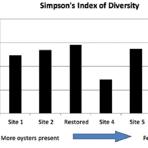 Image result for Computer Science Course Chart