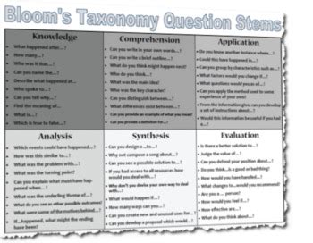 Image result for Question Stem Examples