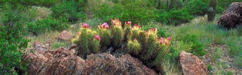 One Column Page | Maricopa County Clerk of Superior Court