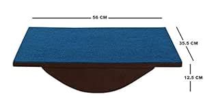 TYCOON PHYSIO SOLUTIONS Blue exercise Therapy Balance Board Wooden ...