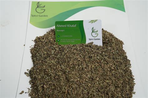 BASIL – Spice Garden