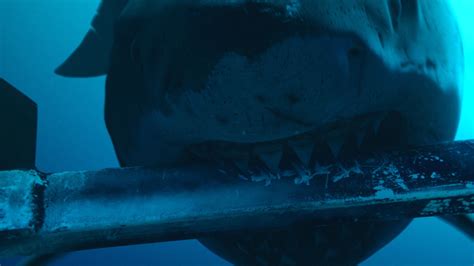 Stills and Photos from The Deep Fear, 2023 at Kinoafisha