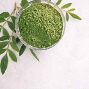 INLIFE Moringa Capsules 500mg | Leaf Extract (10:1) Powder Supplement ...