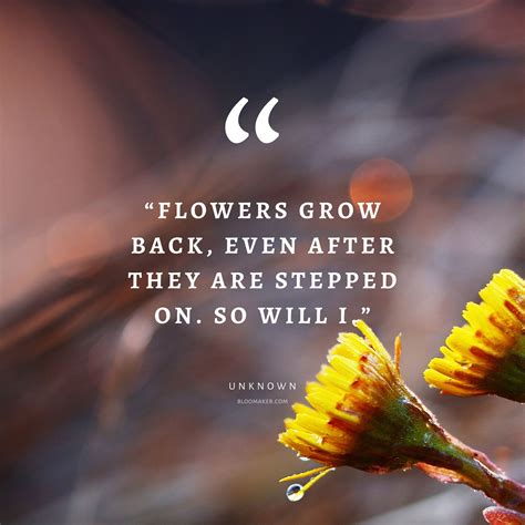 Flowers Pictures With Quotes
