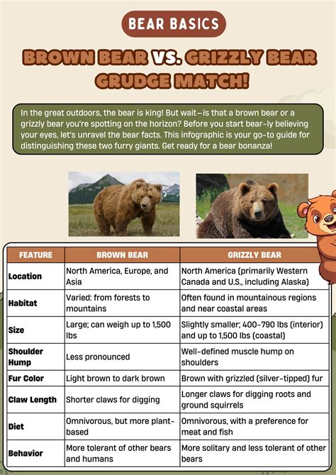 Brown Bear vs. Grizzly Bear: Differences between these Bears • 7ESL