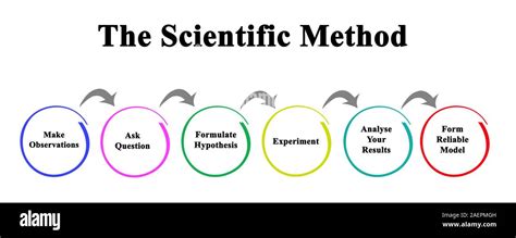 Image result for Scientific Method Observation Variable