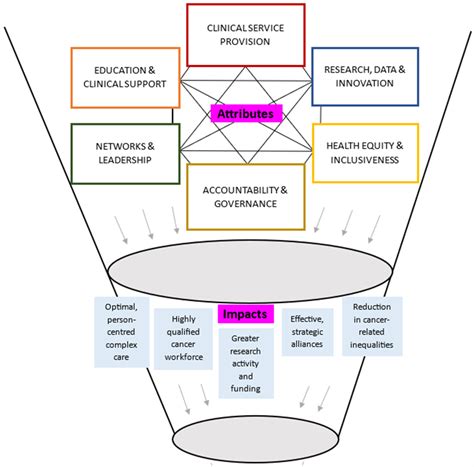 Describing the Core Attributes and Impact of Comprehensive Cancer ...