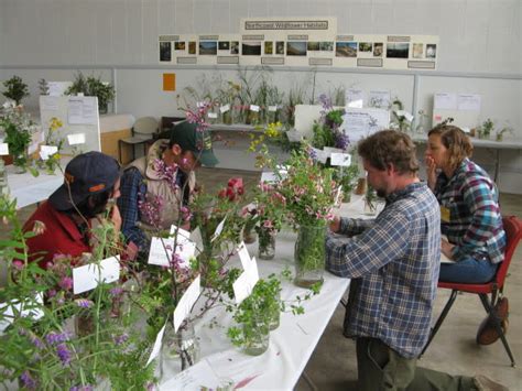 Image result for Spring Show