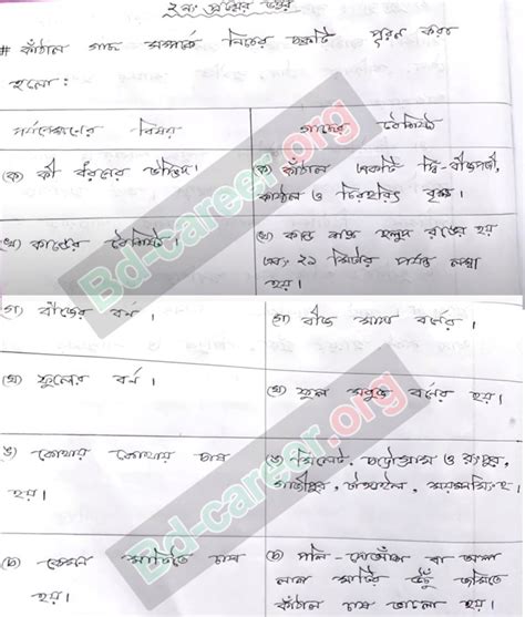 Class 7 10th Week Assignment Answer 的图像结果