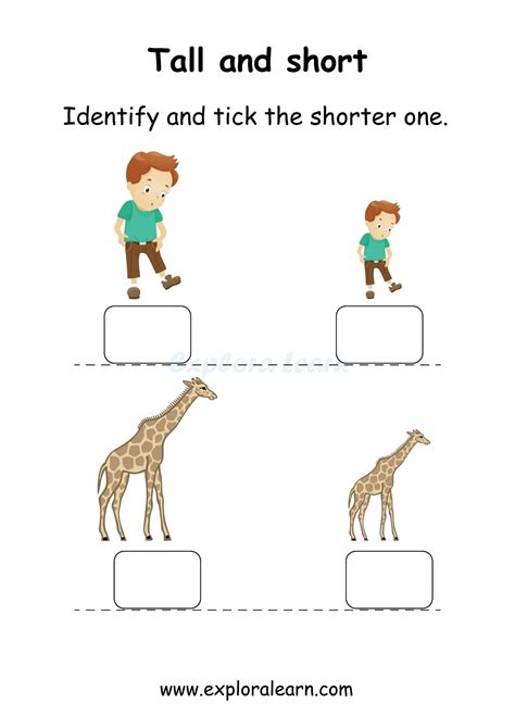 Engaging Comparison Worksheets for Preschool & Kindergarten - Above and ...