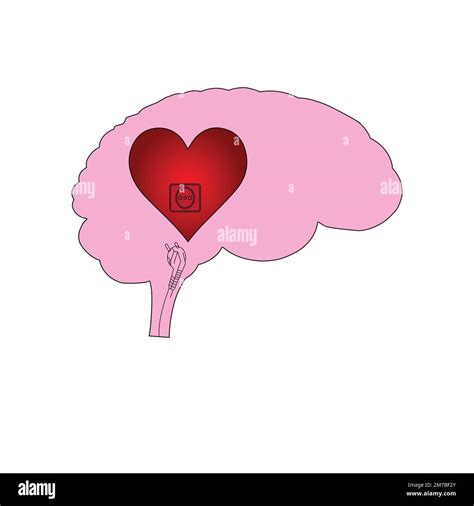 Image result for Heart Brain Connection