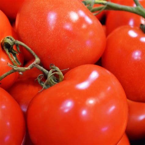 Produce 的图像结果