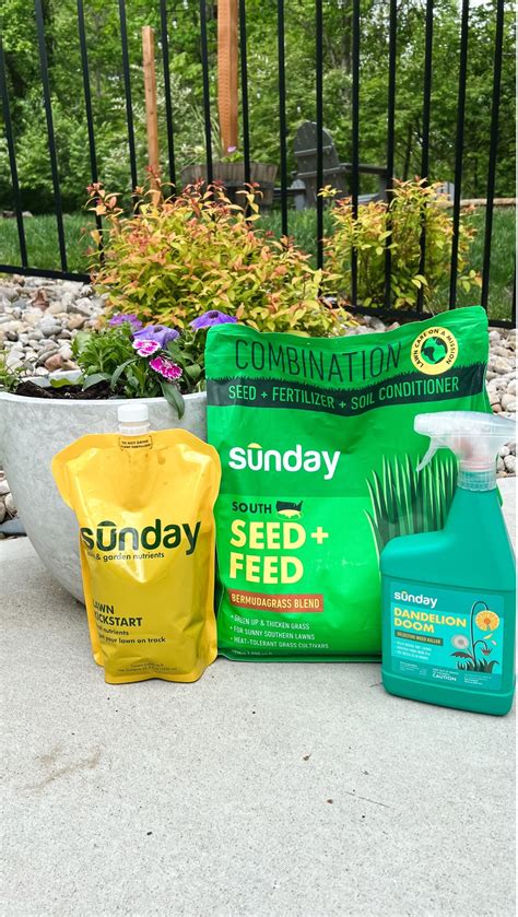 Sunday Lawncare: From Weeds to Wonder | The Gibby Home