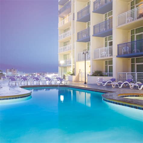 Carolina Grande Myrtle