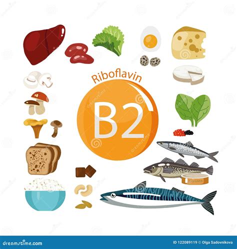 Vitamin B2 Sources The Role Of Vitamin B2 In Your Diet: Benefits,