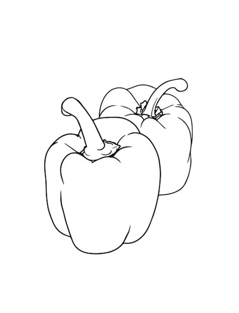 Line art drawing of two bell peppers | Premium Vector