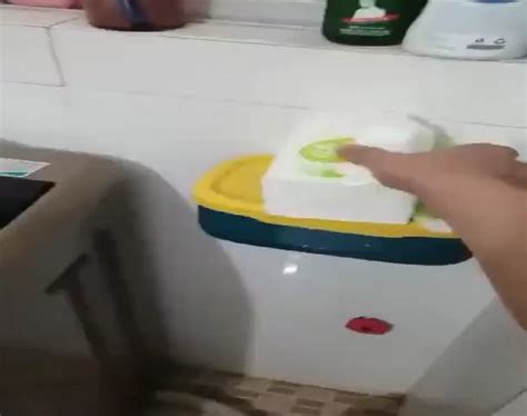 Image result for How to Catch Cockroach