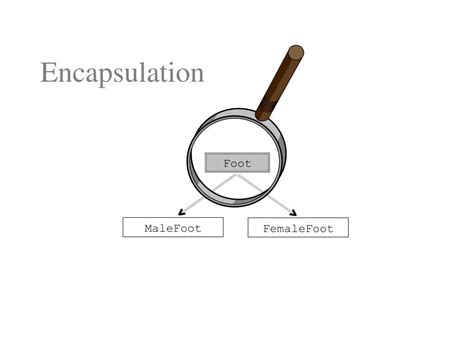 Polymorphism Abstraction Encapsulation Inheritance Example in Java 的图像结果