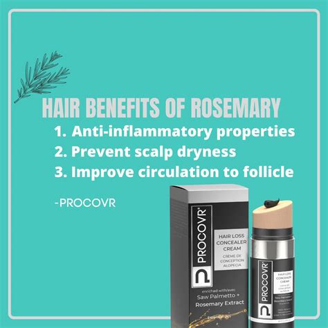 Buy PROCOVR Hair Loss Concealer Cream The ORIGINAL for Thinning ...