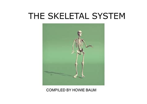 SOLUTION: The skeletal system interesting facts about skeleton system - Studypool